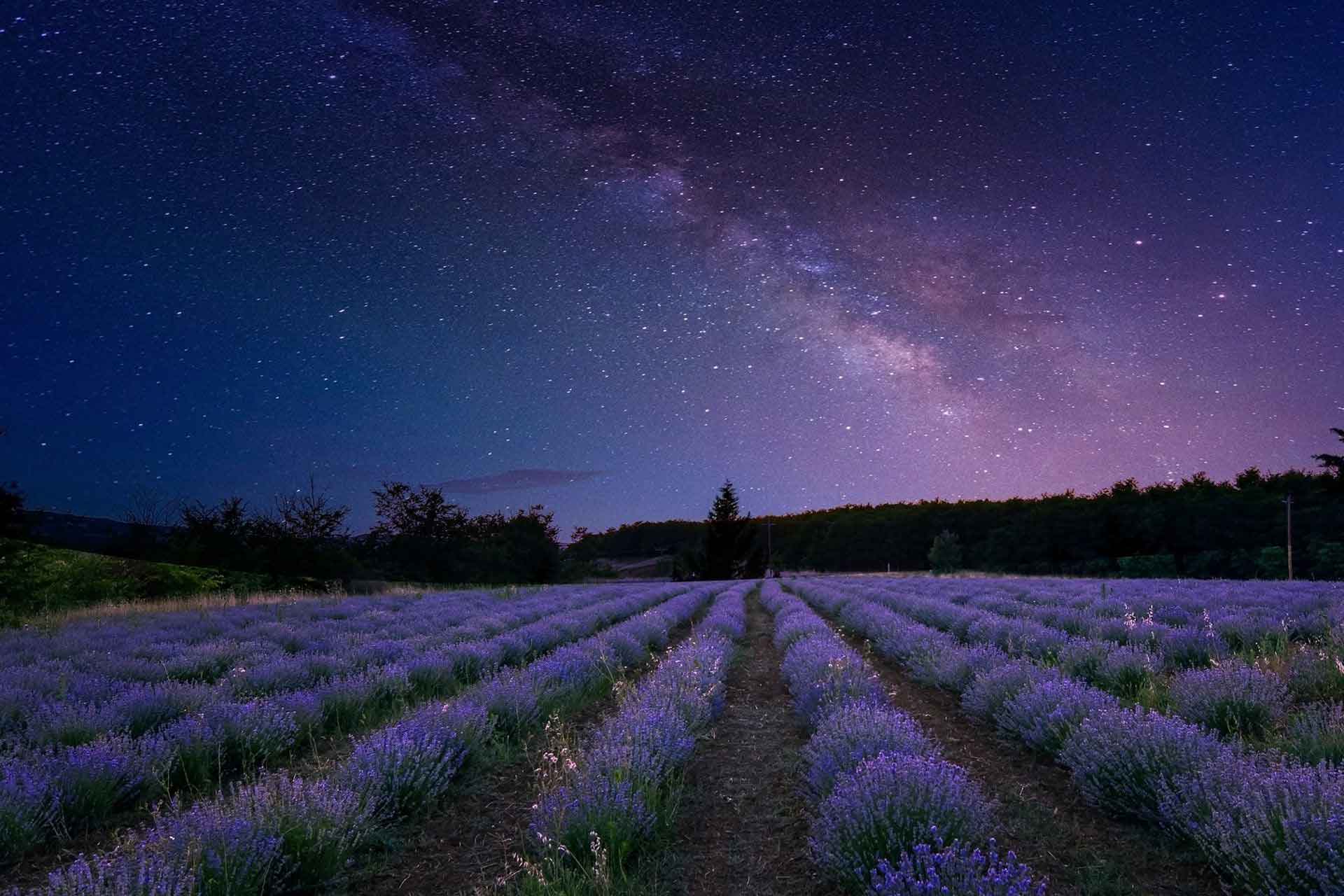 聯堂夏令會與培靈會